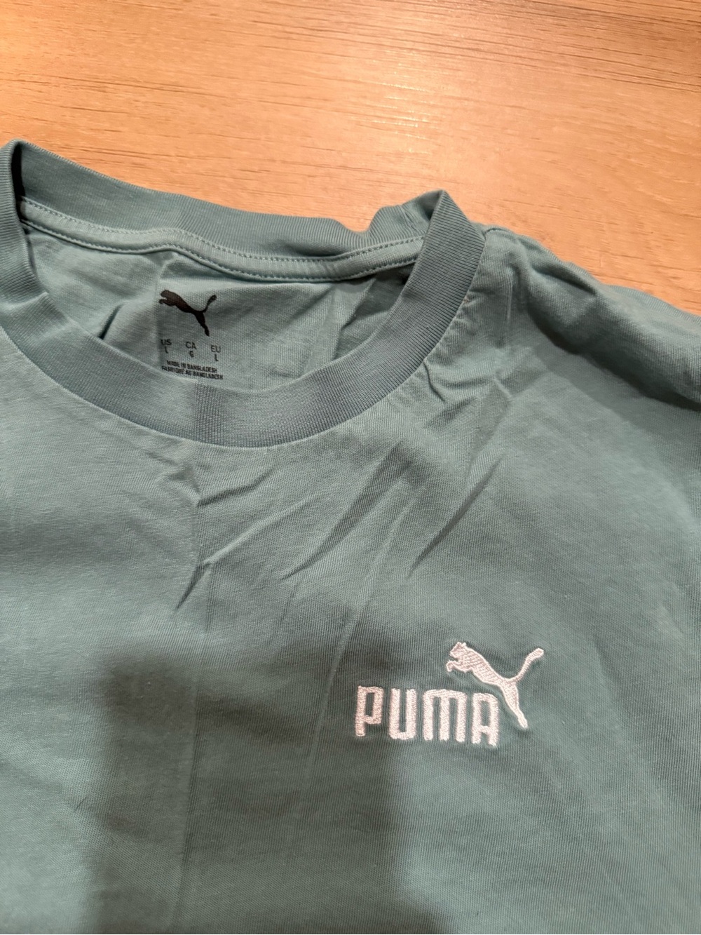 Puma Men's Crewneck Tee in Sage Green with White Logo